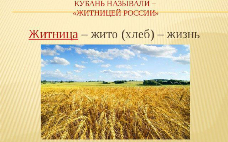 Объяснение слов жито. Кубановедение проект Кубань Житница России. Кубань Житница России презентация. Житница России. Кубань Житница России Кубань Жемчужина России.